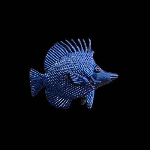 Turbo Dork: TurboShift - Wavelength